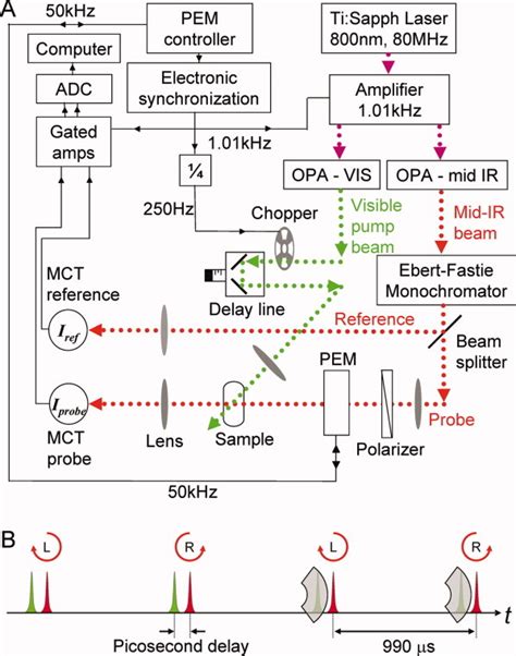 Polarization Control Of Ultrashort MidIR Laser Pulses For Transient