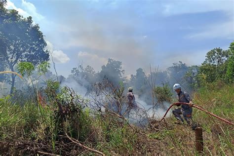 Tim Gabungan Padamkan Kebakaran Lahan Di Bintan Antara News Kepulauan