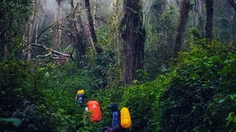 Cuaca Ekstrem Jalur Pendakian Gunung Arjuno Welirang Ditutup