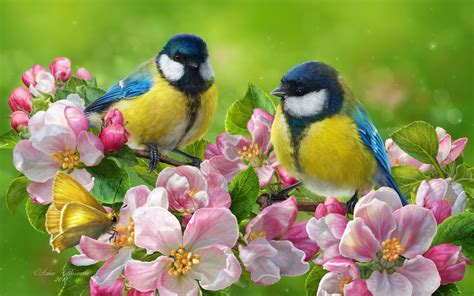 Spring Birds And Flowers Wallpaper (67+ images)