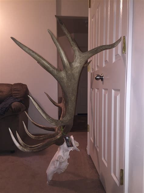 Wyoming Elk Unit 124 Long Range Hunting Forum Expert Gear Reviews