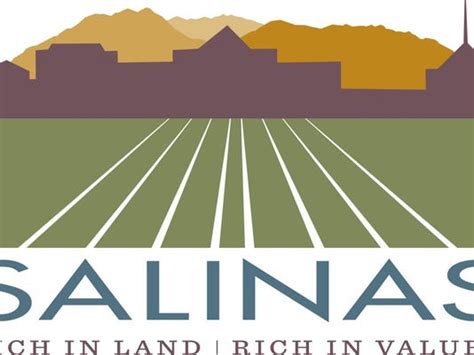 salinas names  economic director