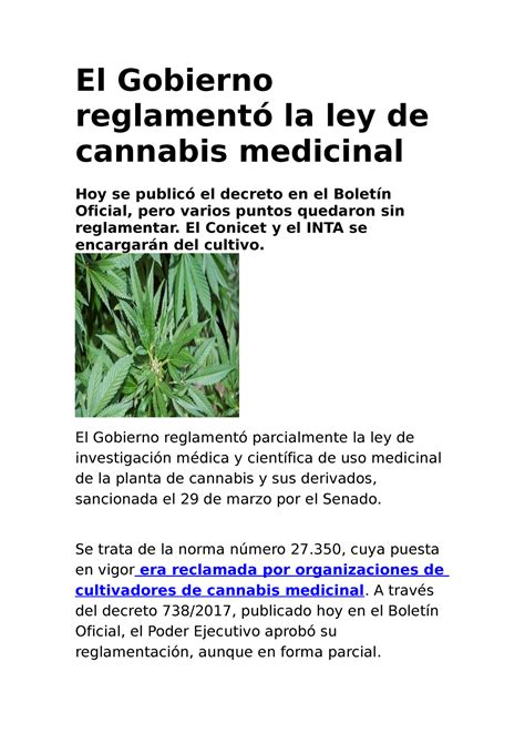 Canavis El Gobierno Reglamentó La Ley De Cannabis Medicinal Hoy Se