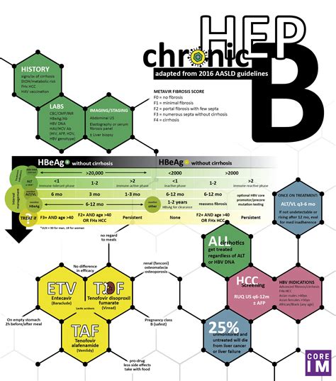 Treatment Of Chronic Hepatitis B Guidelines Tratament