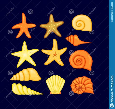 Colorful Tropical Shells Underwater Icon Set Frame Of Sea Shells