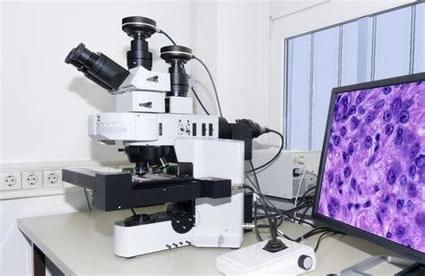 Apar Ine De Nord Co Cuales Son Los Microscopios Actuales Estimat