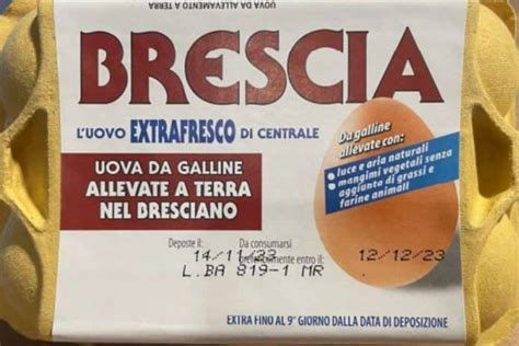 Uova Fresche Contaminate Richiamati Lotti Da Coop Esselunga Iperal E