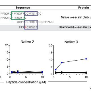 T Cell Reactivity To Native Gluten Epitopes A Overview Of