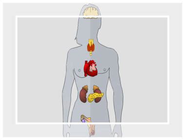 Hormonelle Regulation