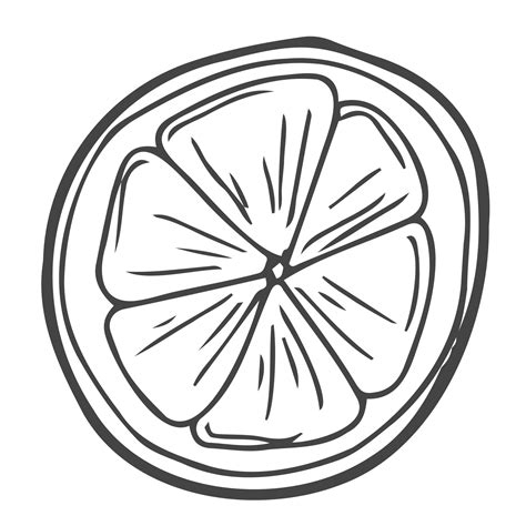 Lemon Round Slice Line Icon Vector Illustration Hand Drawn Outline One