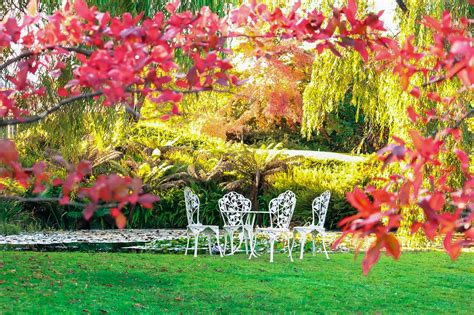 Jardin Comment Redonner Leur Blancheur Et Leur Brillance Vos