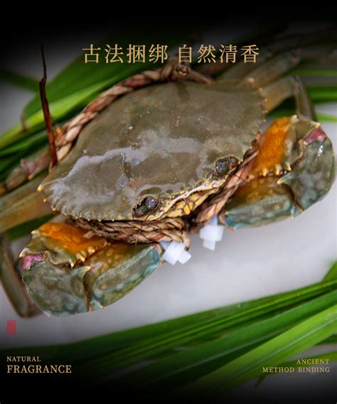 海寻湾：浅谈三门青蟹的前世今生！ 海寻湾三门青蟹 青蟹礼盒 青蟹礼卡