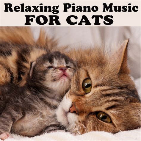 Relaxing Piano Music For Cats Album By The O Neill Brothers Group