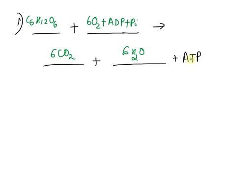 Solved Drag And Drop The Process Of Cellular Respiration With Its Corresponding Part Of The