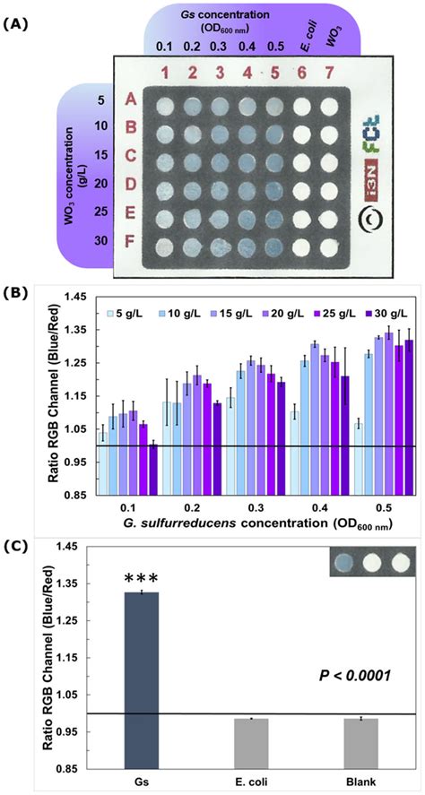 Eab Detection A Paper Based Sensor Photograph Of The Colorimetric