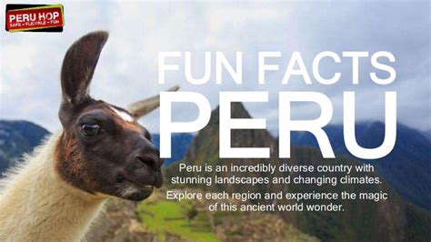 Fun Facts About Peru