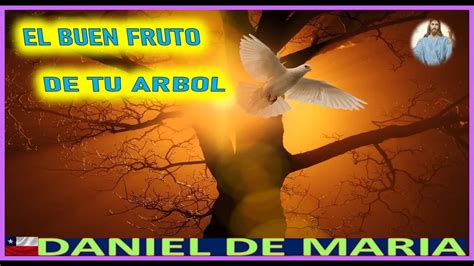 El Buen Fruto De Tu Arbol Mensaje De Jesucristo Rey A Daniel De Maria