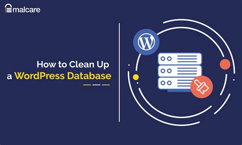 Wordpress Database Cleanup Detailed Guide To Clean And Optimise Database