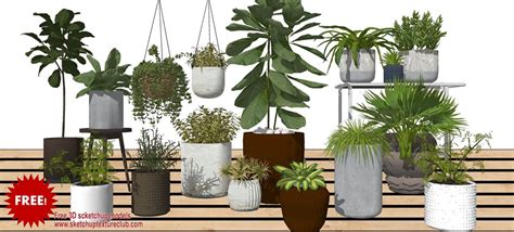 Pot Plant 3d Warehouse Plants Potted Plants Sketchup Model Images And