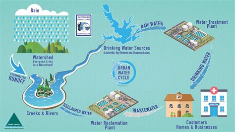 Urban Water Cycle Infographic – Argyle Water Supply Corporation