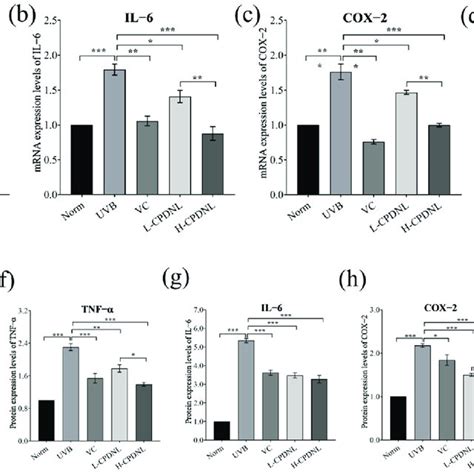 The Expression Of Inflammation Cytokines The Mrna Expression Of Tnf α Download Scientific