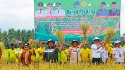 Ipdmip Hadir Ubah Pola Pikir Petani Edisi Sinar Tani