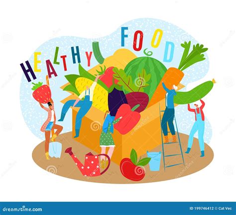 Healthy Food Concept Vector Illustration Organic Vegetable Fruit For