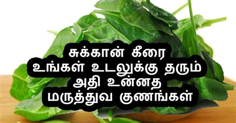 Best of TamilNadu Medicines Naturals Knowledge சககன கர