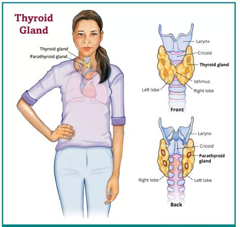 Thyroid Nodule Treatment What To Do