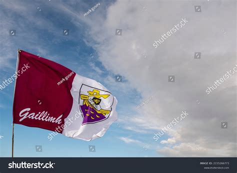 726 Galway Flag Images, Stock Photos & Vectors | Shutterstock