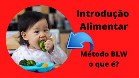 Introdu O Alimentar Blw Os Primeiros Passos Para Introdu O Alimentar