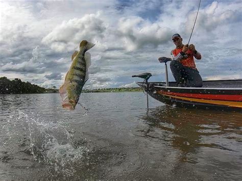 Pescaria de tucunaré em São Simão GO Revista Pesca Companhia