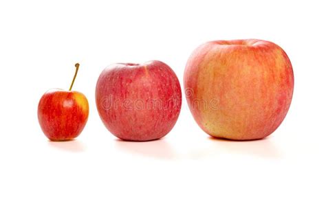 Small And Medicum And Big Size Apples On A White Background Stock Photo