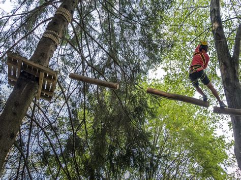 Jungle Raider Park I Parchi Avventura Sugli Alberi