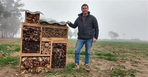 Arman Casas Para Insectos Polinizadores Y Ben Ficos Para Los Cultivos