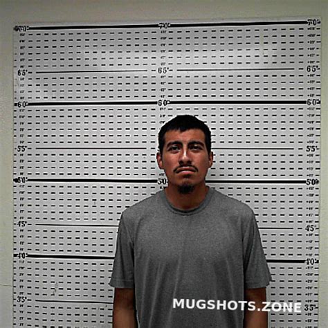 Gomez Luis Armando Jim Wells County Mugshots Zone