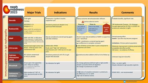 Sparsentan in IgA Nephropathy : The PROTECT trial — NephJC