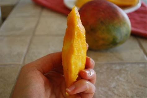 Mango Pit Eating Made Easy