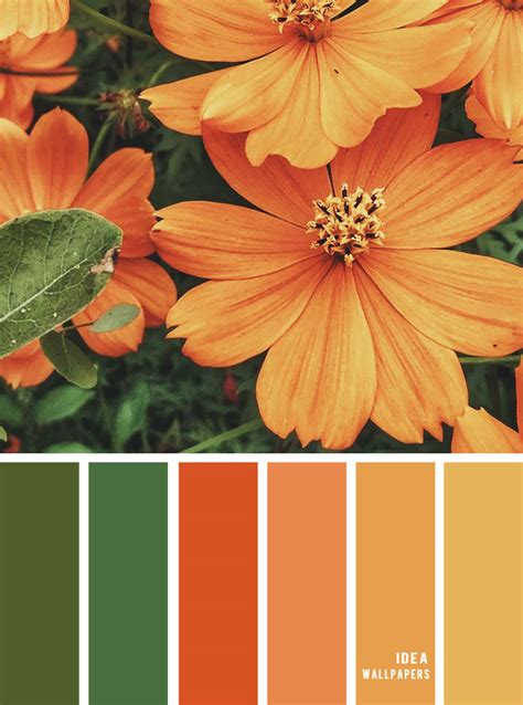 Color inspiration : Marigold and green color palette