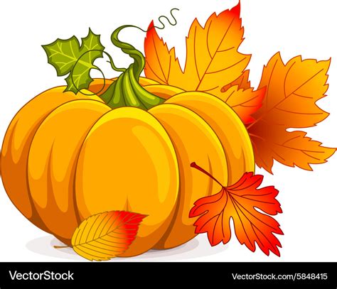 Autumn Pumpkin Royalty Free Vector Image Vectorstock