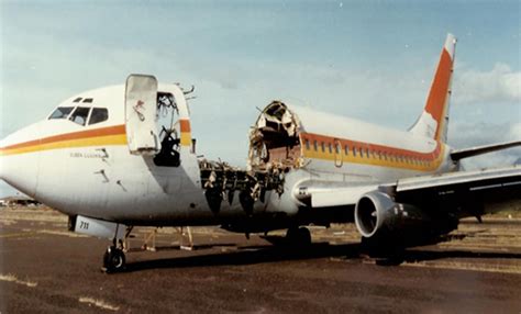 Aloha Airlines Flight Flight Attendant