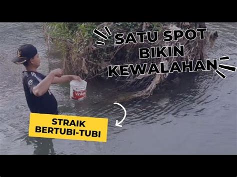 Spot Potensial Strike Berkali Kali Sampai Kewalahan Edisi Mancing