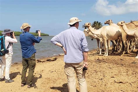 Somali Safari Mogadishu All You Need To Know Before You Go