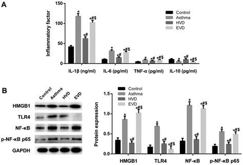 Vitamin D Reduces Inflammatory Response In Asthmatic Mice Through Hmgb1