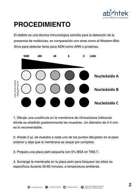 Protocolo DotBlot Abyntek Biopharma