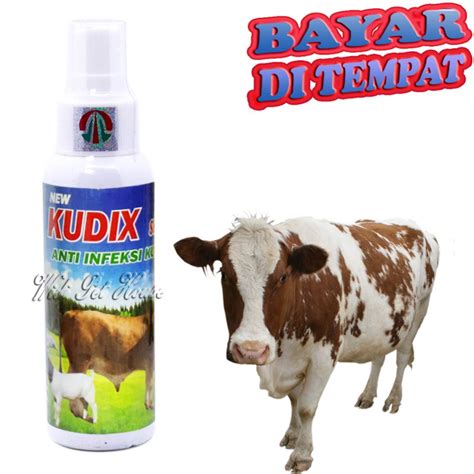 Jual Obat Koreng Sapi Kambing Kerbau Kudix Sprey Sakit Scabies Jamur