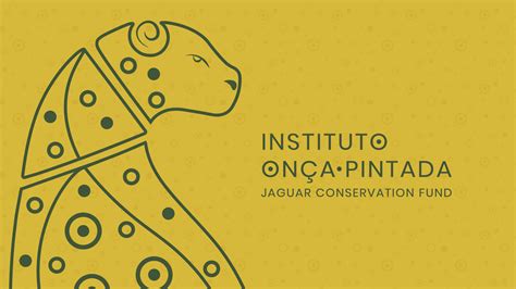 Instituto On A Pintada Rebrand On Behance