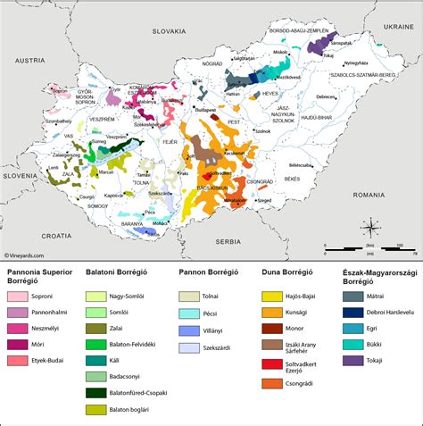 Hungary Map Vector Map Of Hungary Political One Stop Map Maps Of