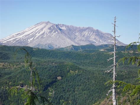 Mt St Helens From Forest Road Road 25 Skamania County Washington