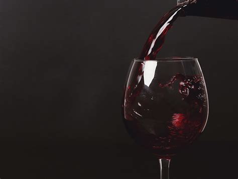 Обзор вина из сорта винограда Мерло (Merlot) - AlcoWiki.org